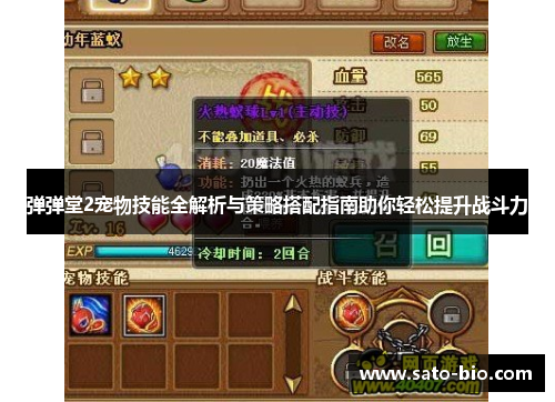 弹弹堂2宠物技能全解析与策略搭配指南助你轻松提升战斗力