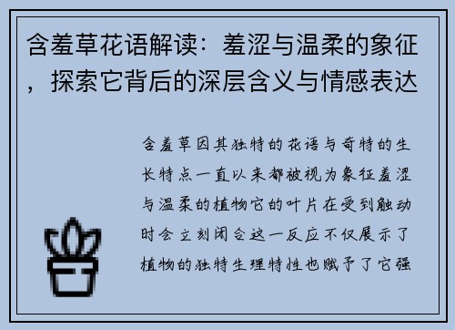 含羞草花语解读：羞涩与温柔的象征，探索它背后的深层含义与情感表达